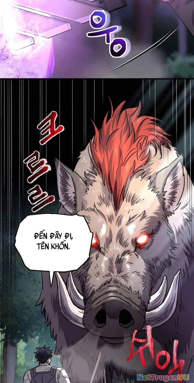 Chapter 19
