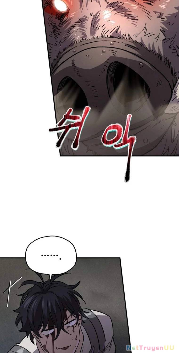 Chapter 19