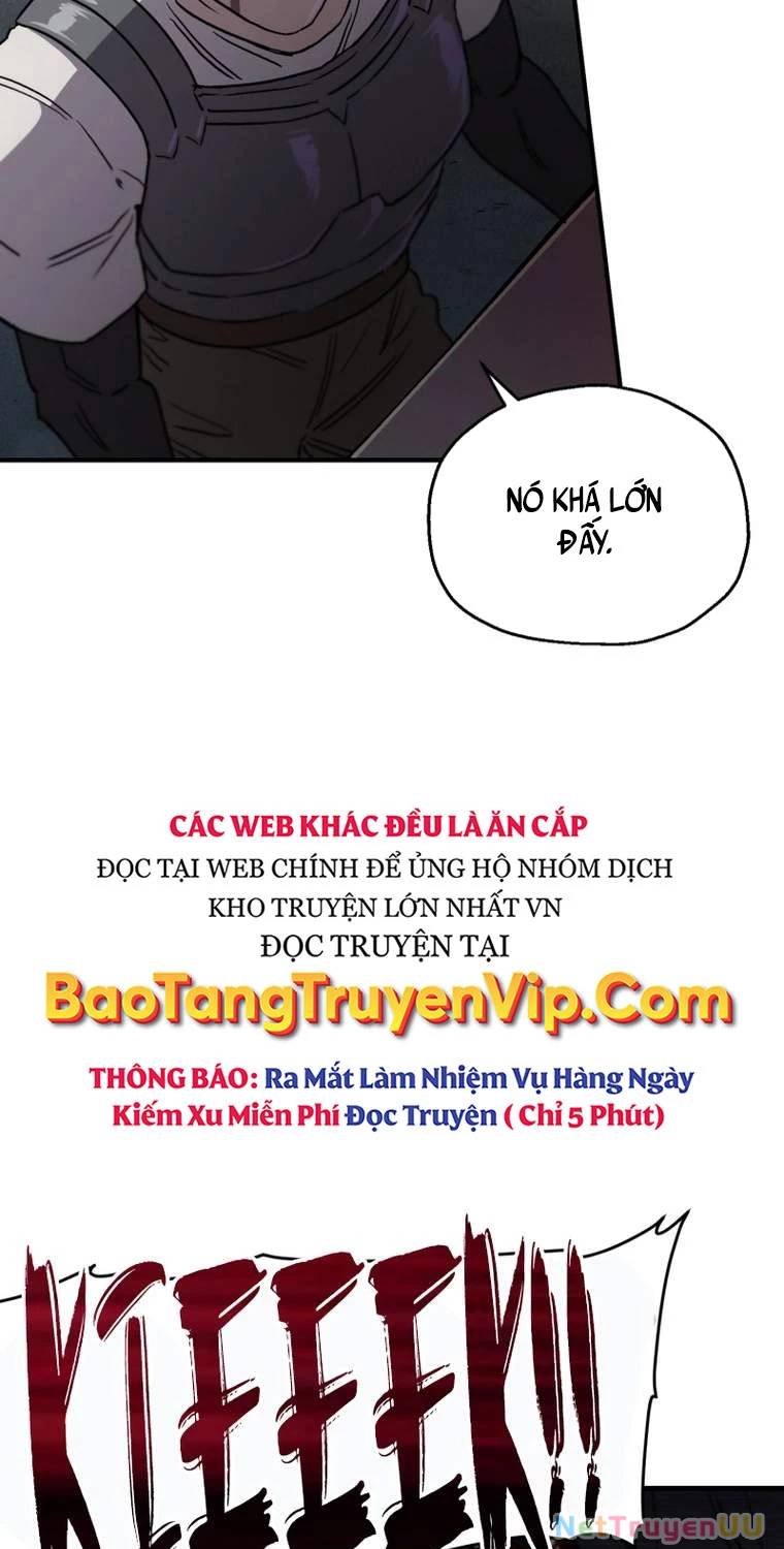 Chapter 19