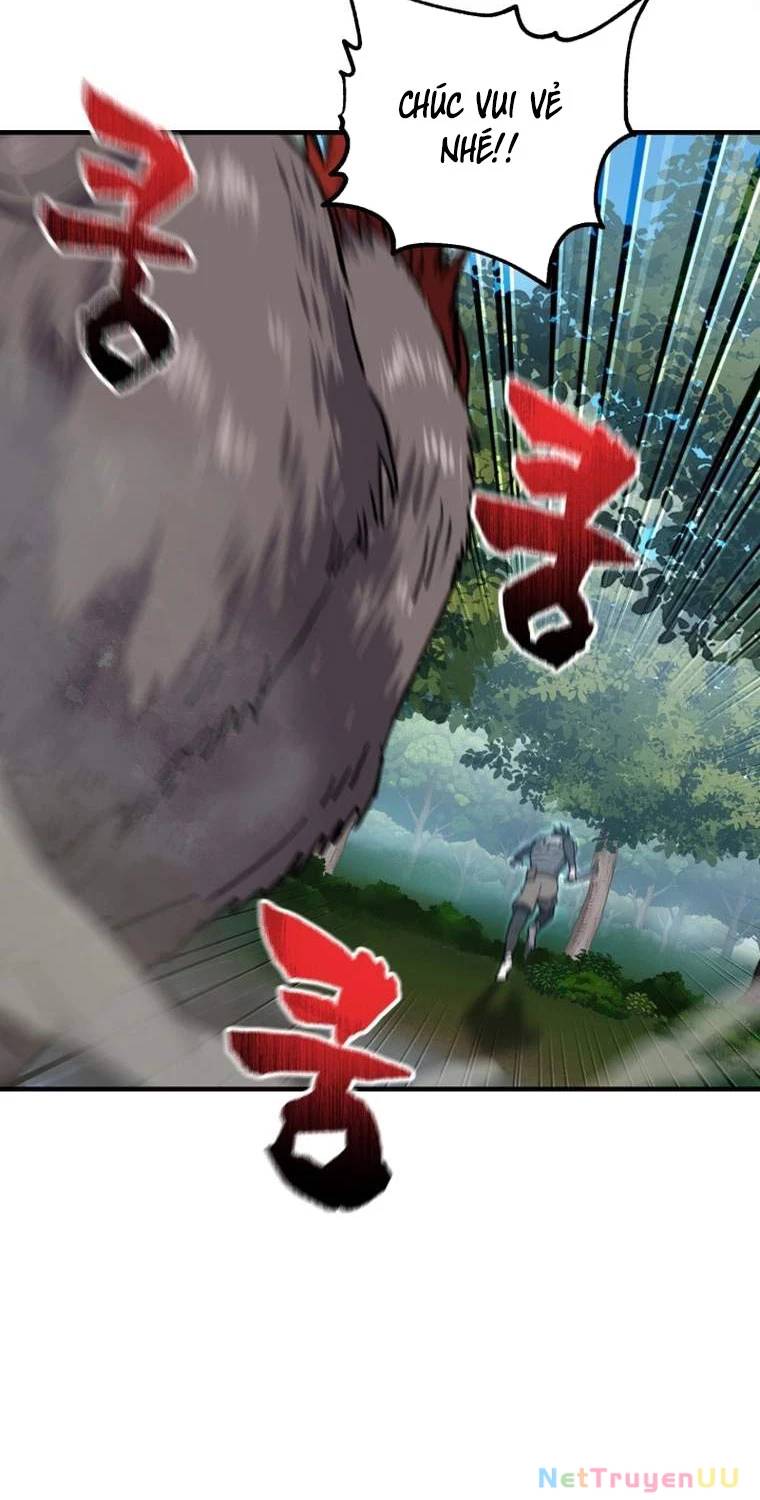 Chapter 19