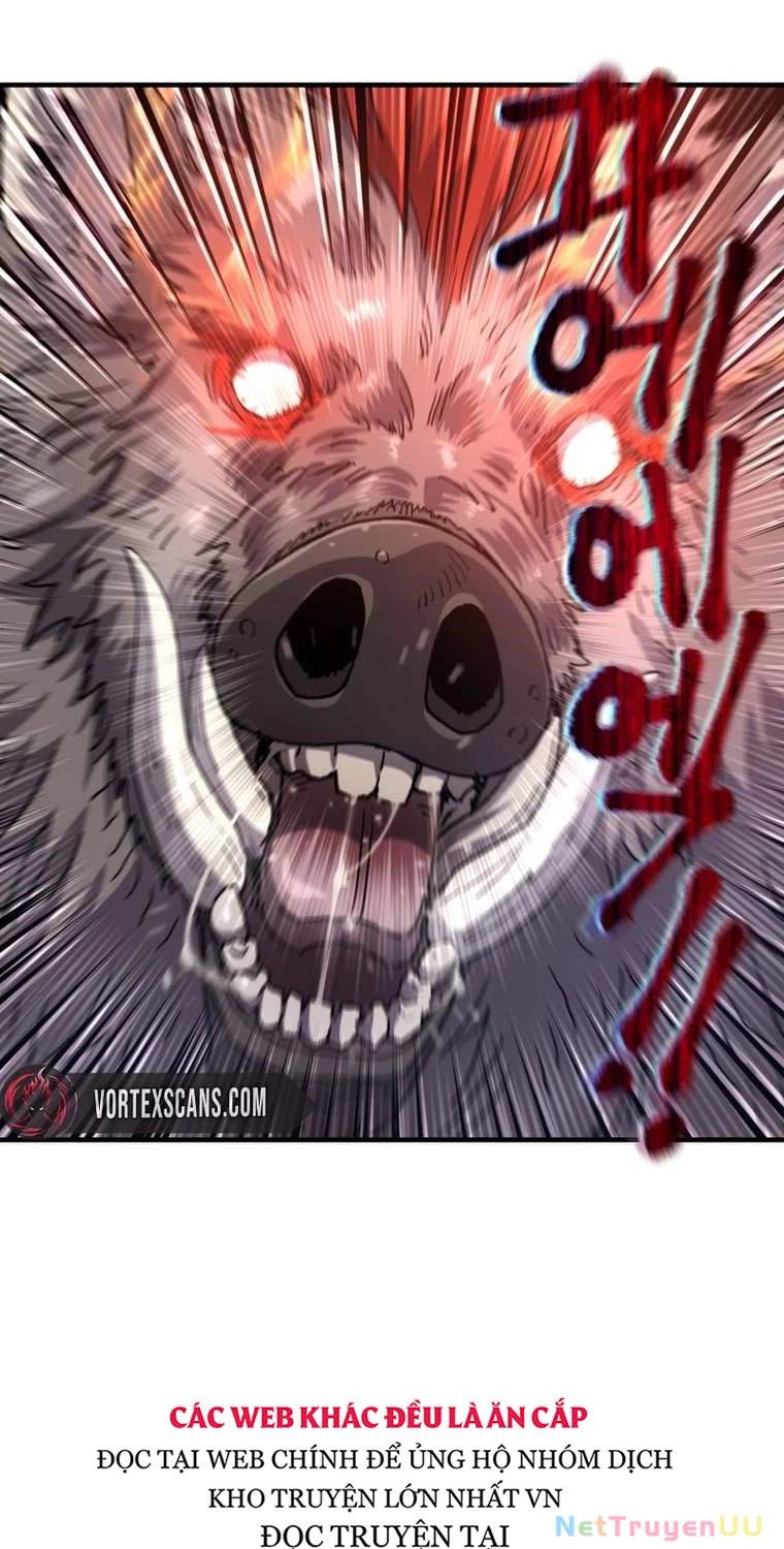 Chapter 19