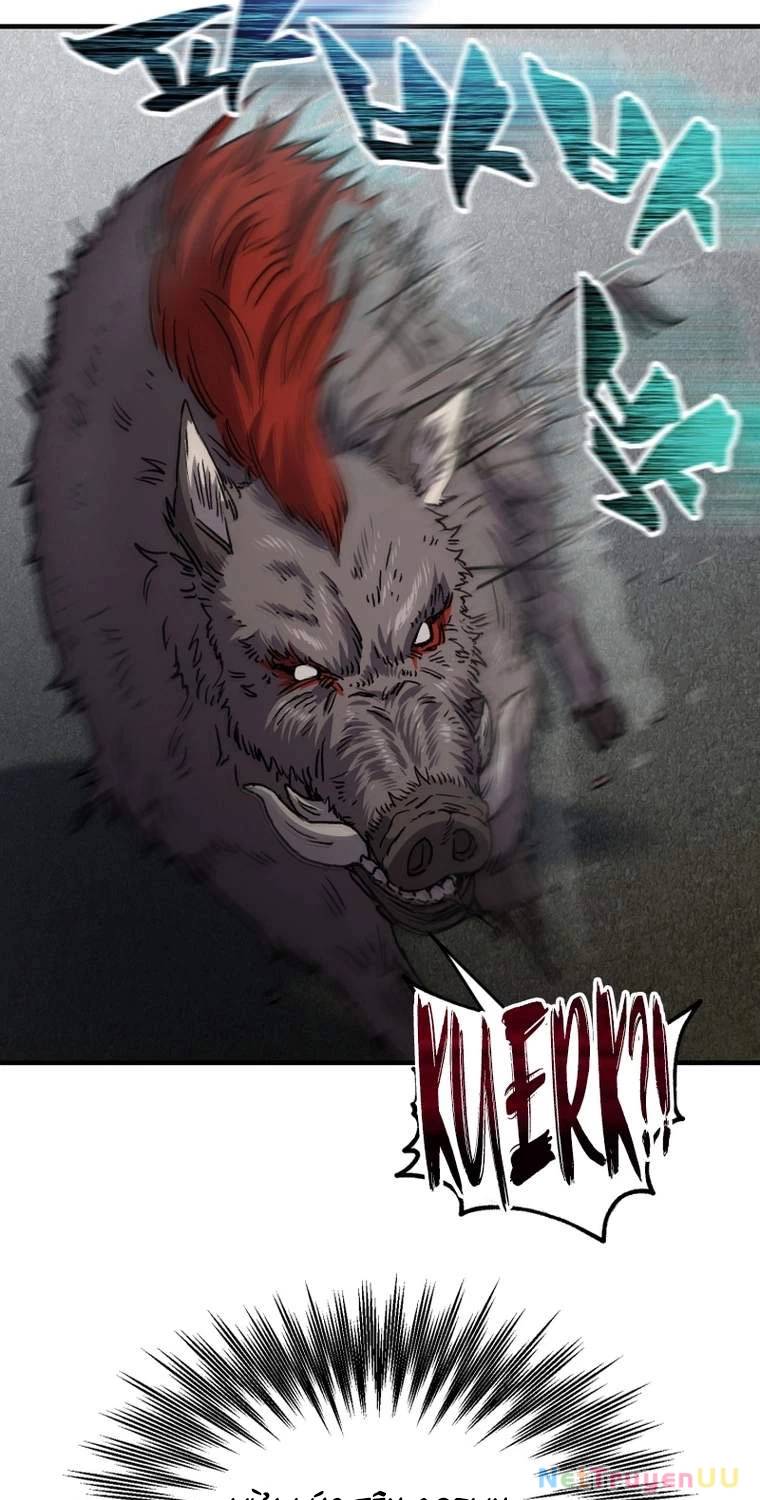 Chapter 19