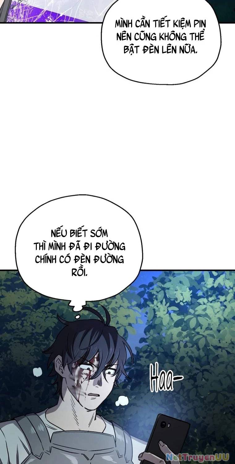Chapter 19
