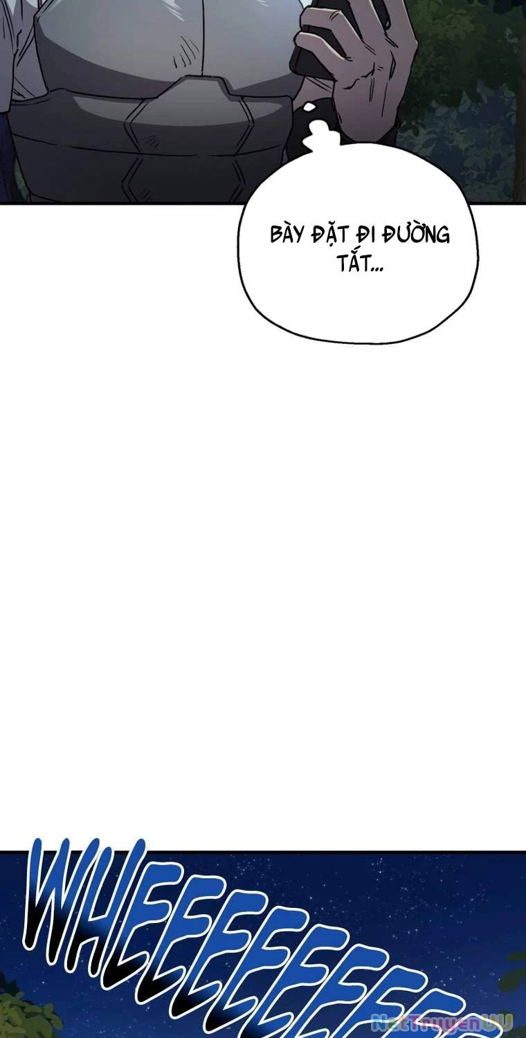 Chapter 19
