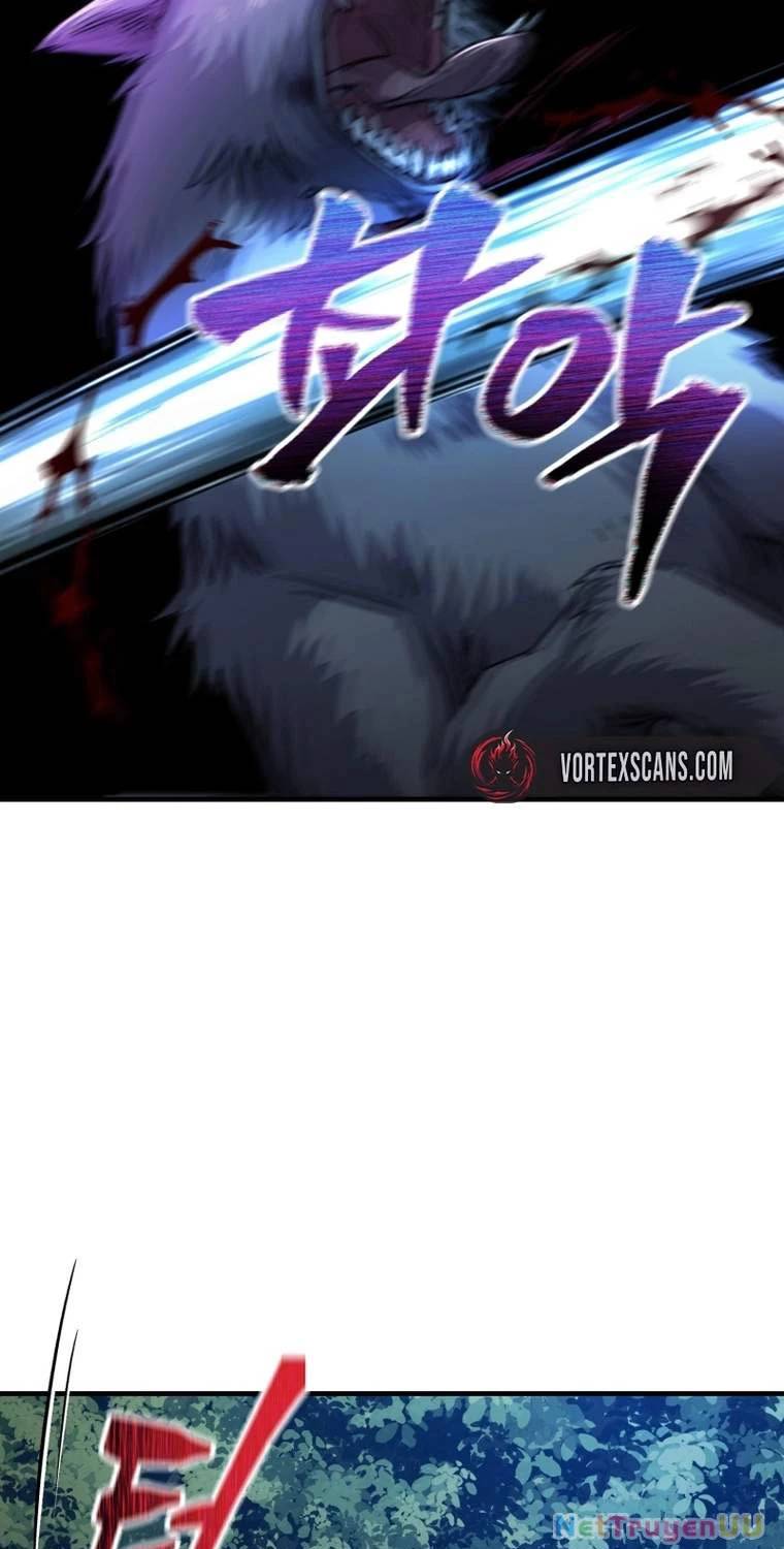 Chapter 19