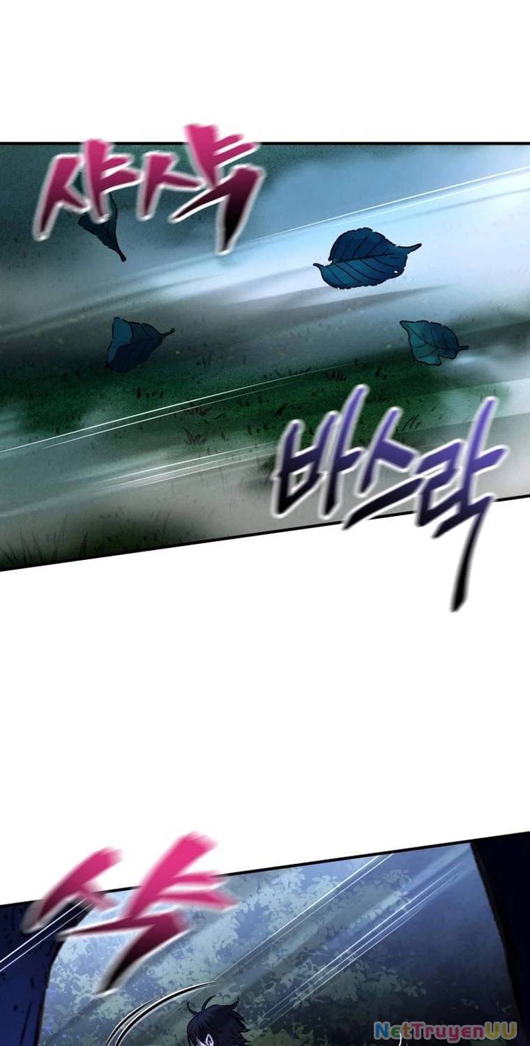 Chapter 19