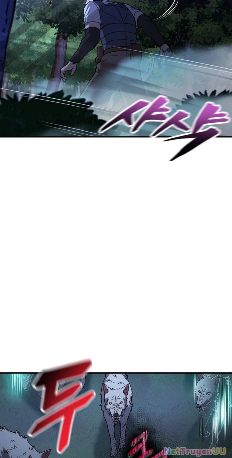 Chapter 19