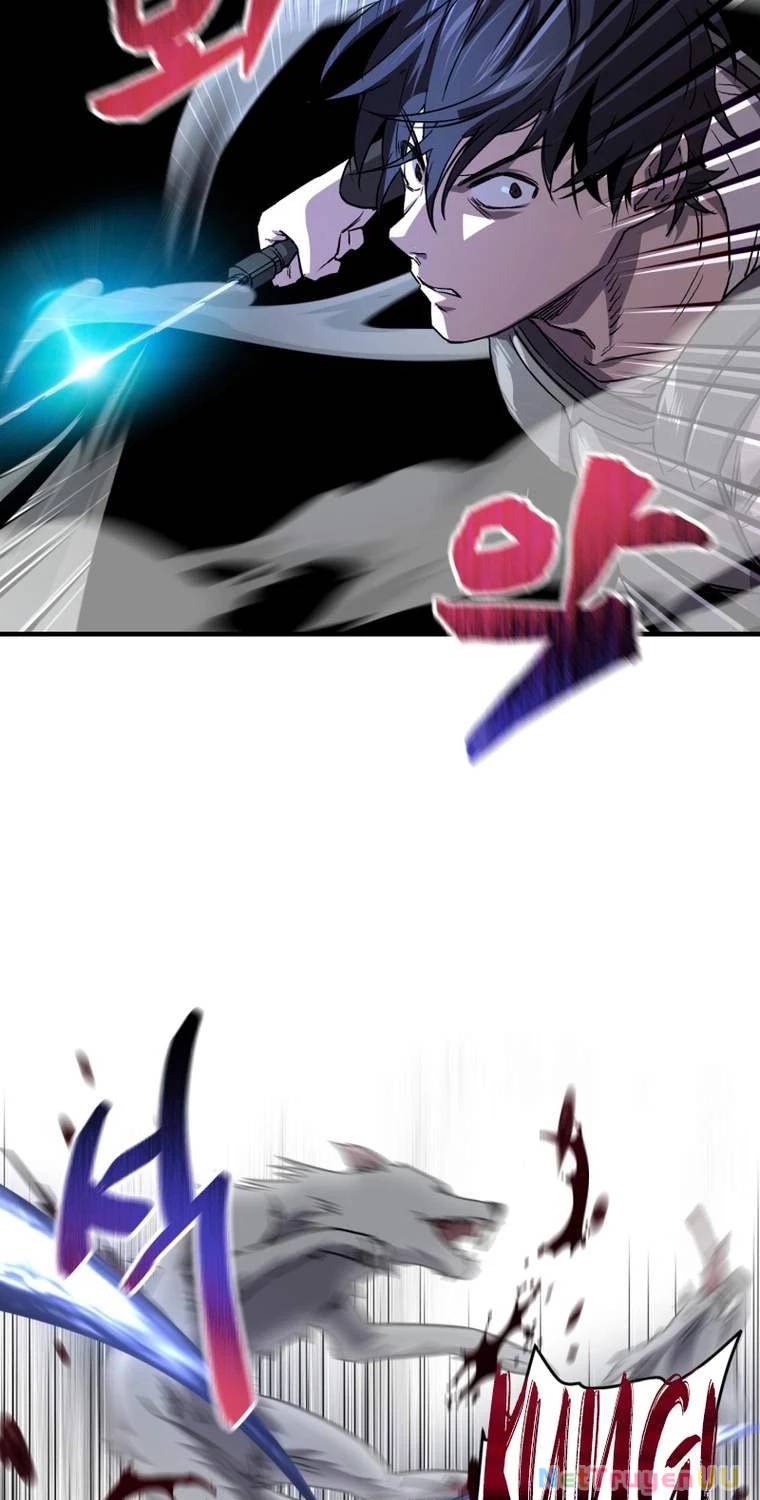 Chapter 19