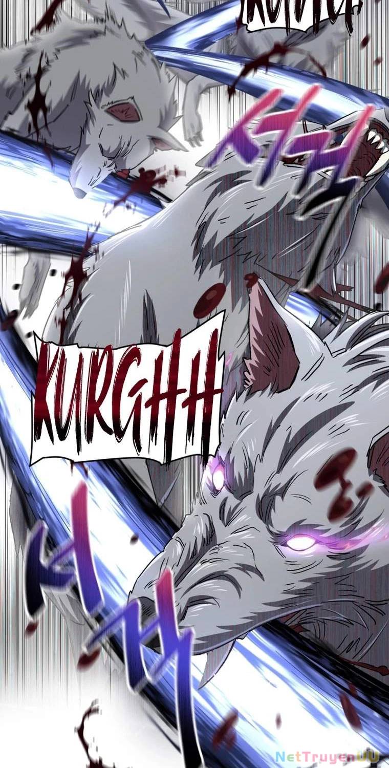 Chapter 19