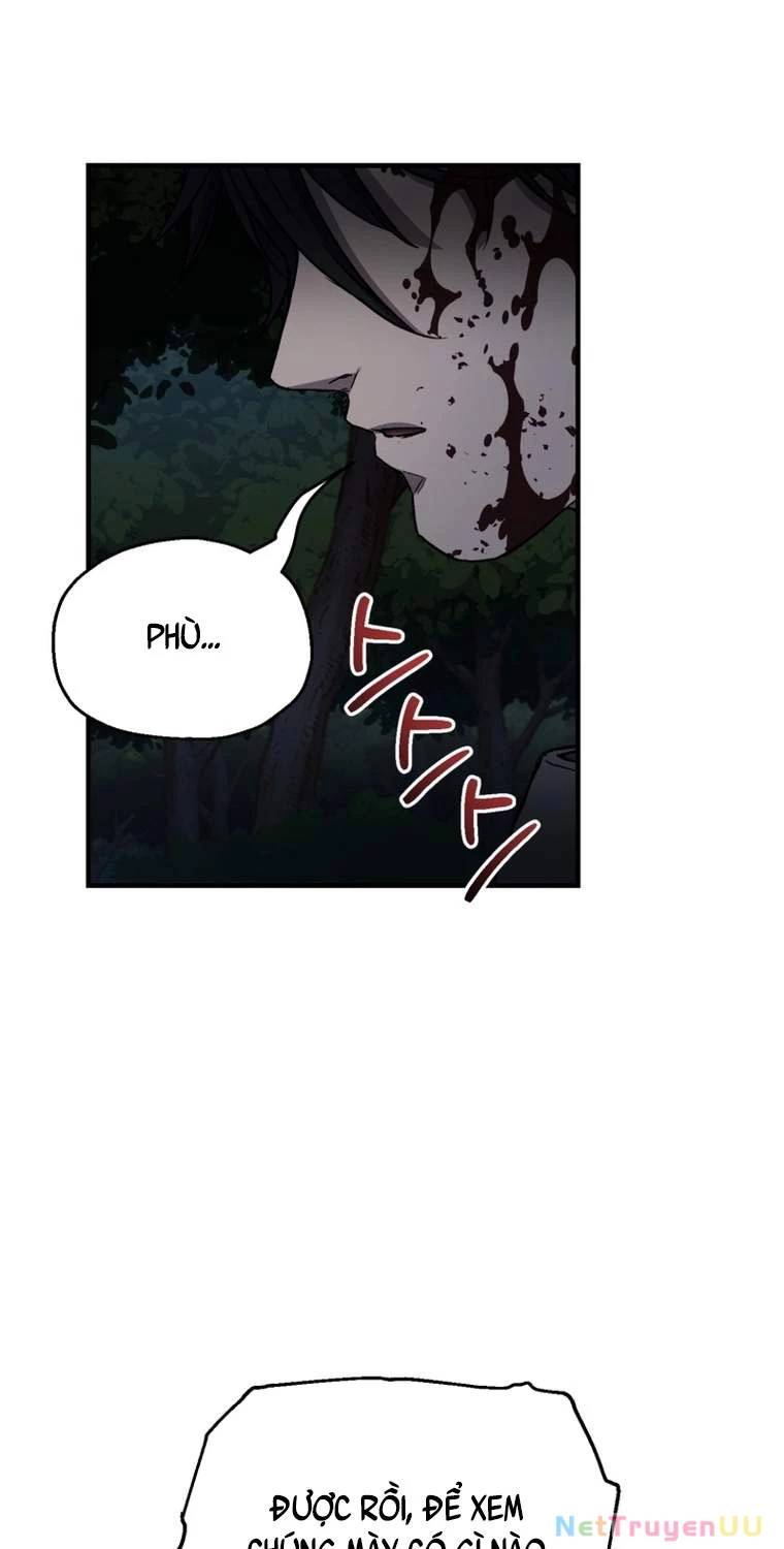 Chapter 19