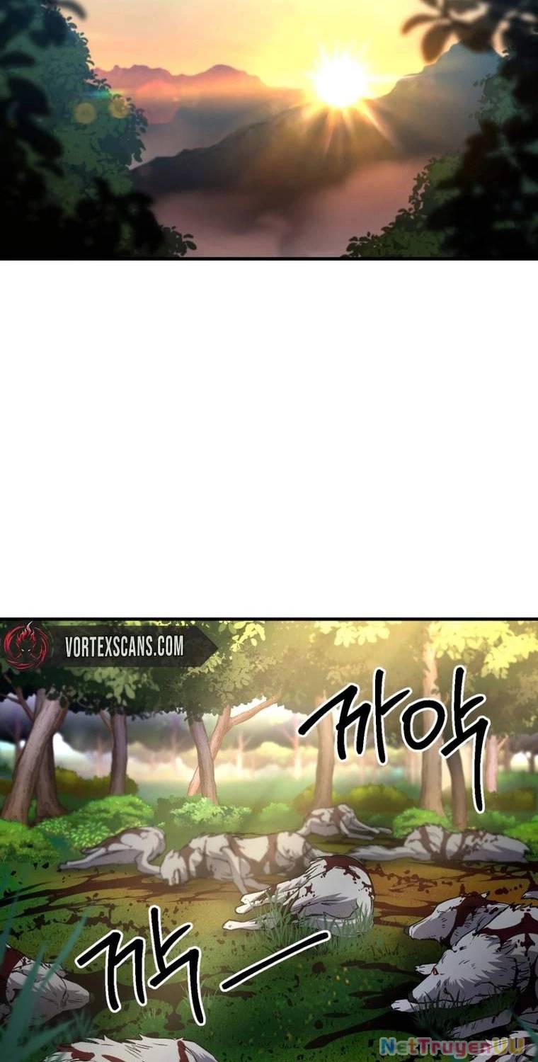 Chapter 19