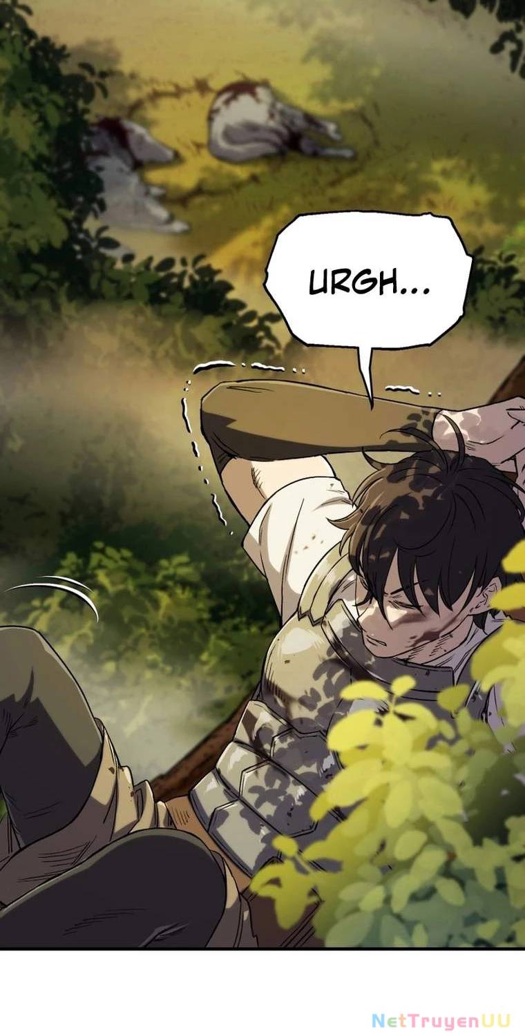 Chapter 19
