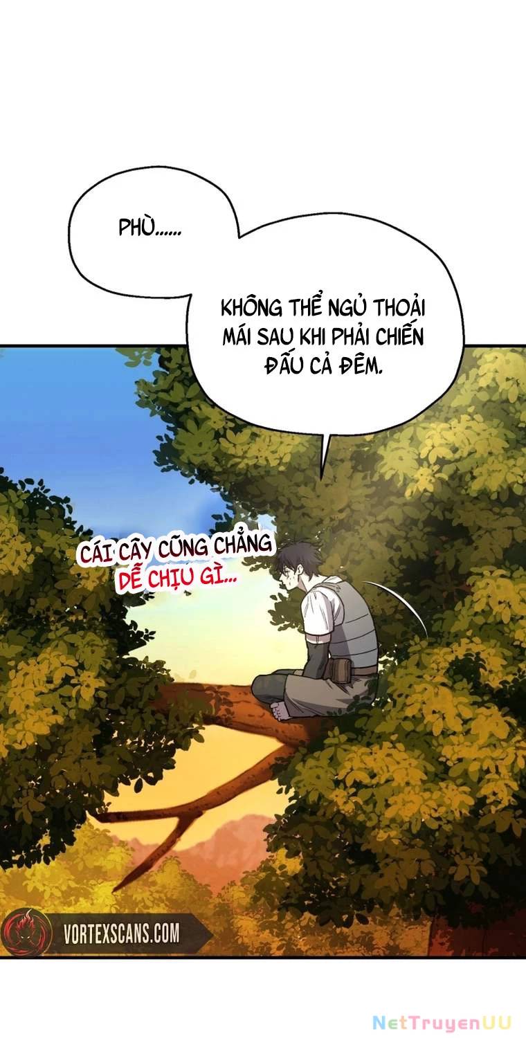Chapter 19