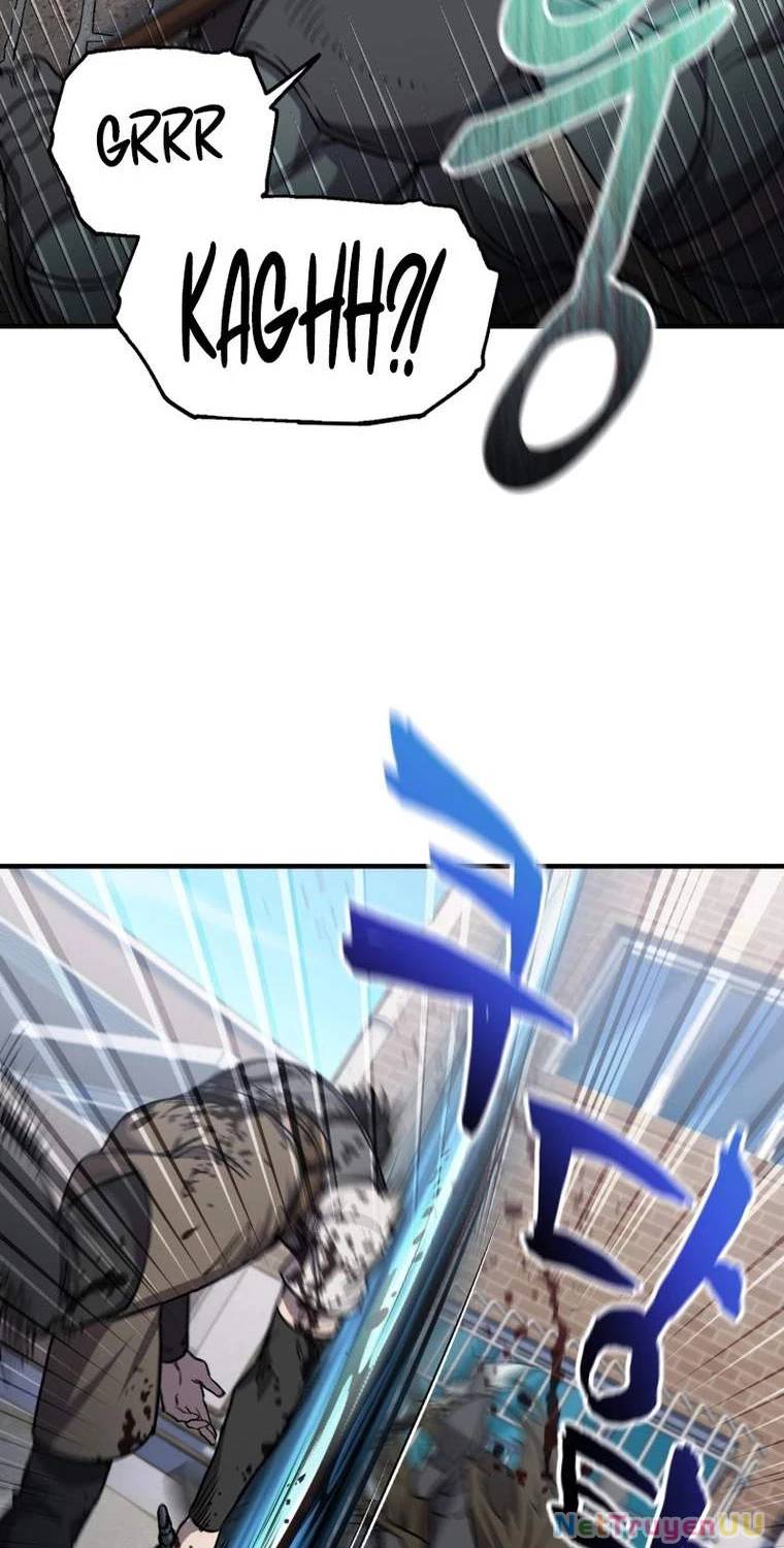 Chapter 20