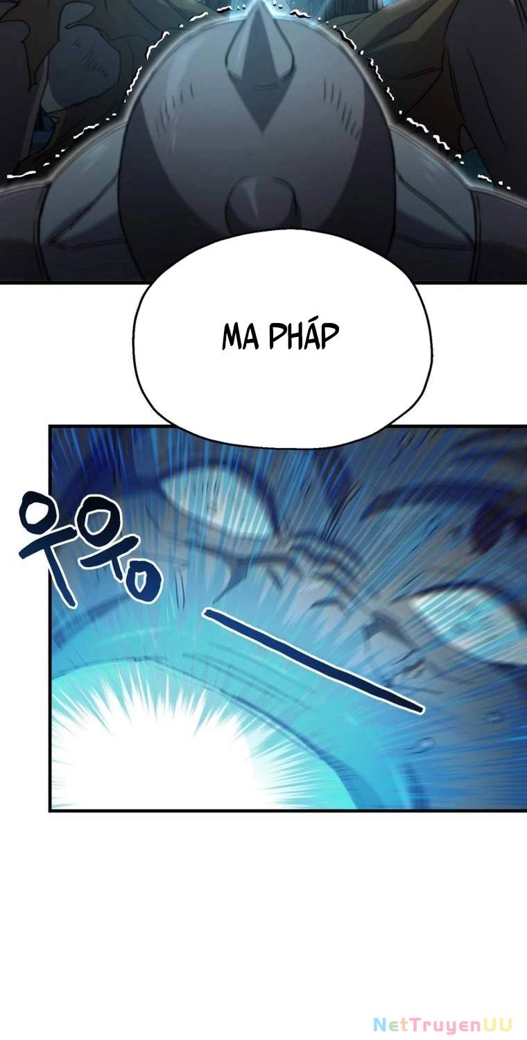 Chapter 20