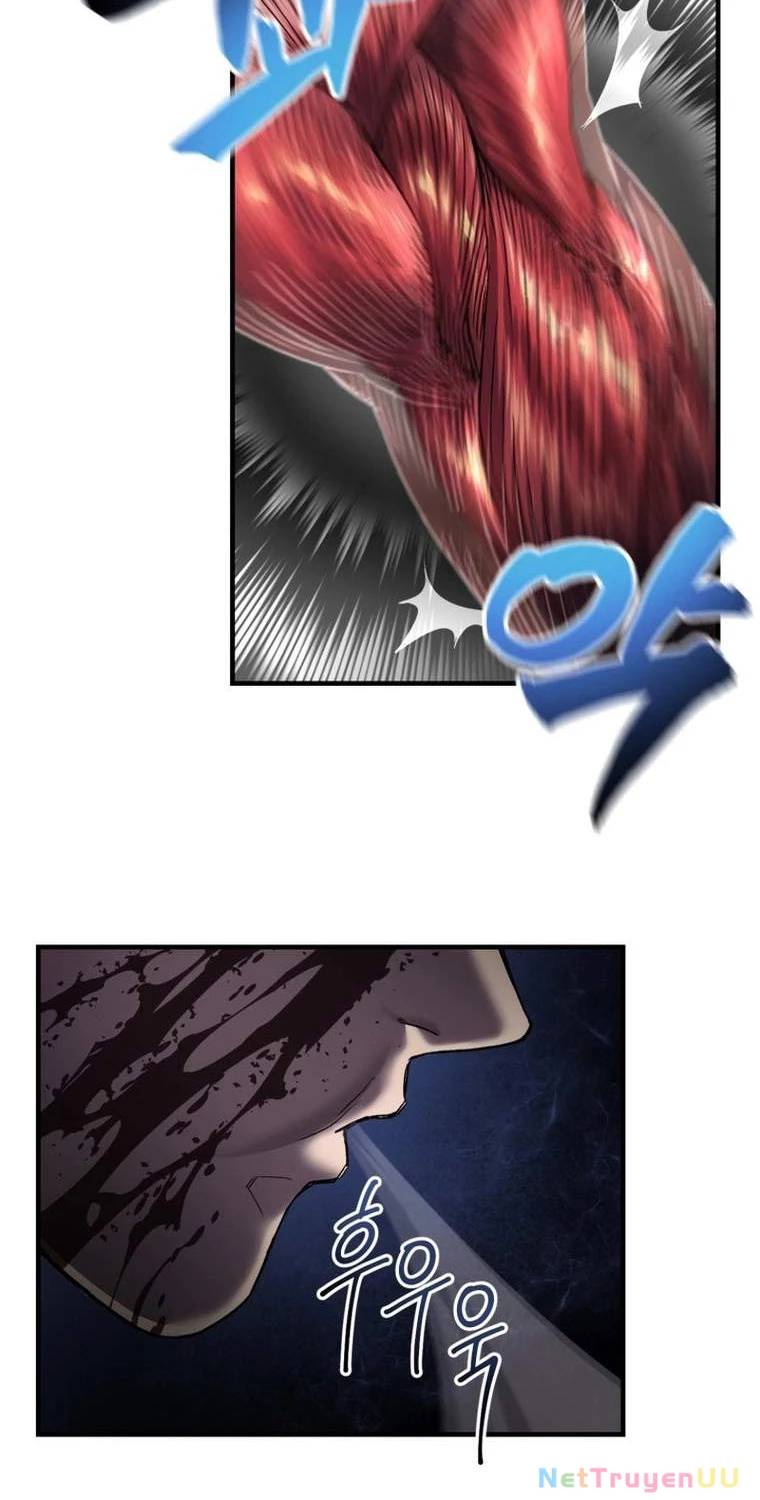 Chapter 20