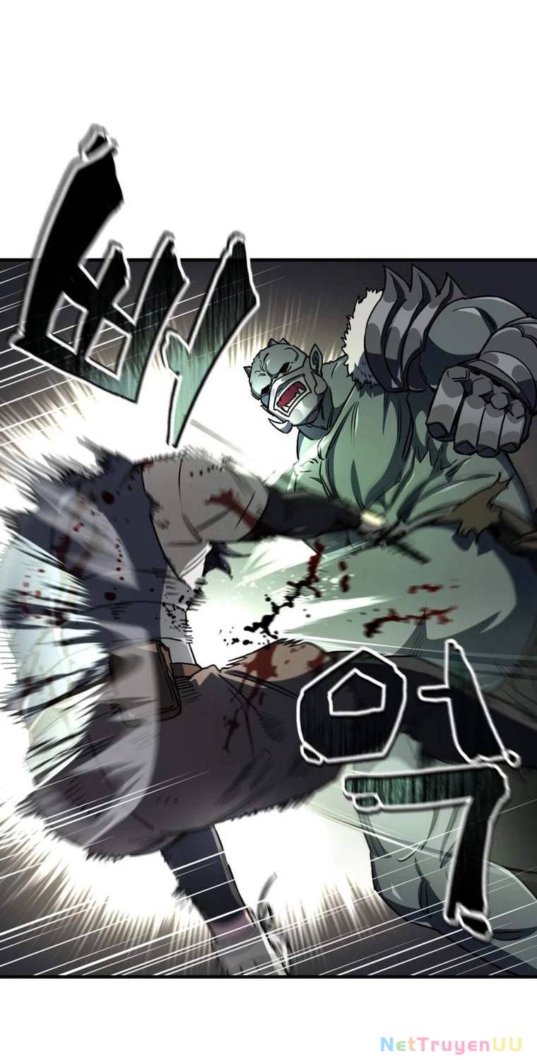 Chapter 20