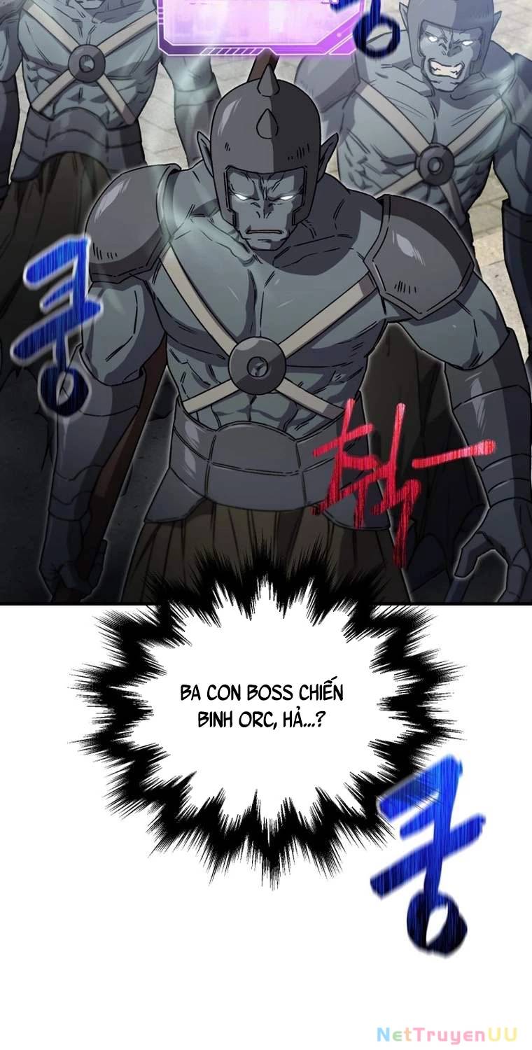 Chapter 20