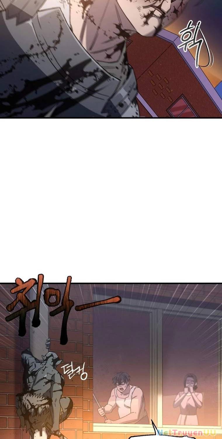 Chapter 20