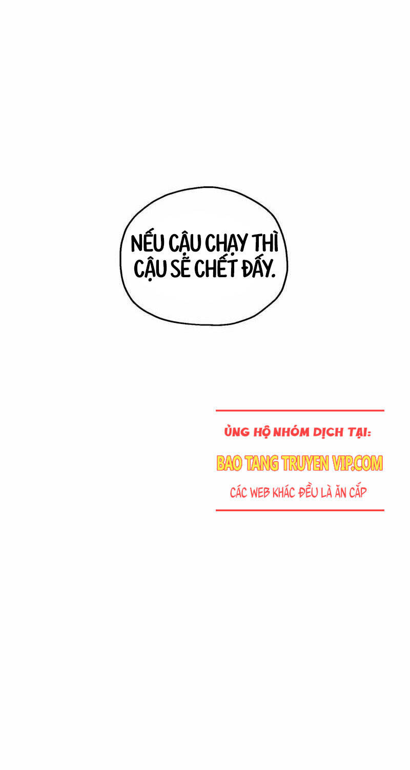 Chapter 23