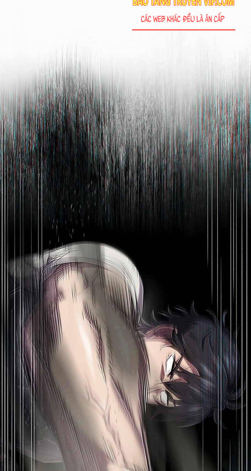 Chapter 23