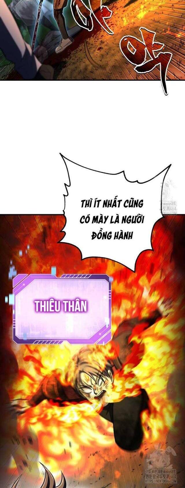 Chapter 31