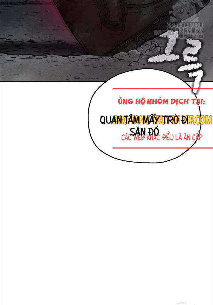 Chapter 33