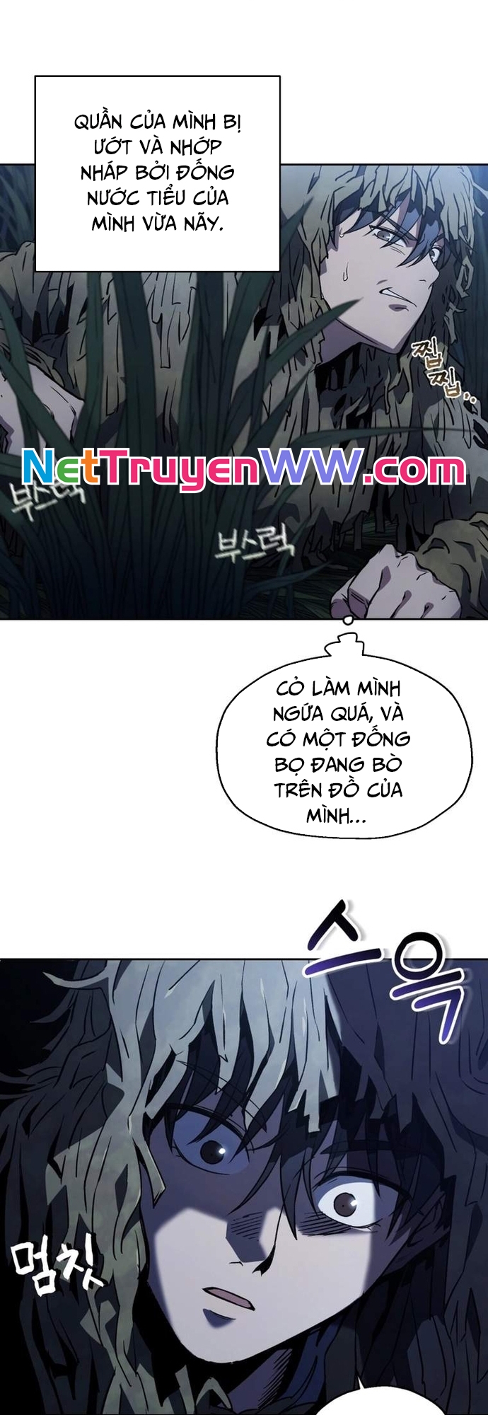 Chapter 5