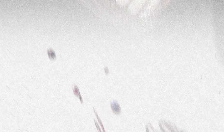 Chapter 71