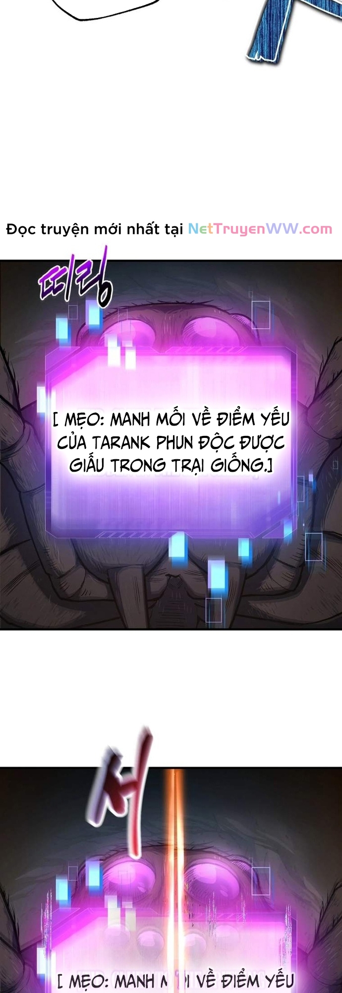 Chapter 10
