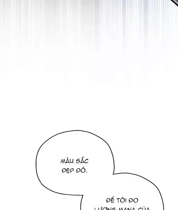 Chapter 95