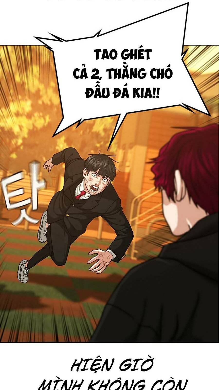 Chapter 12