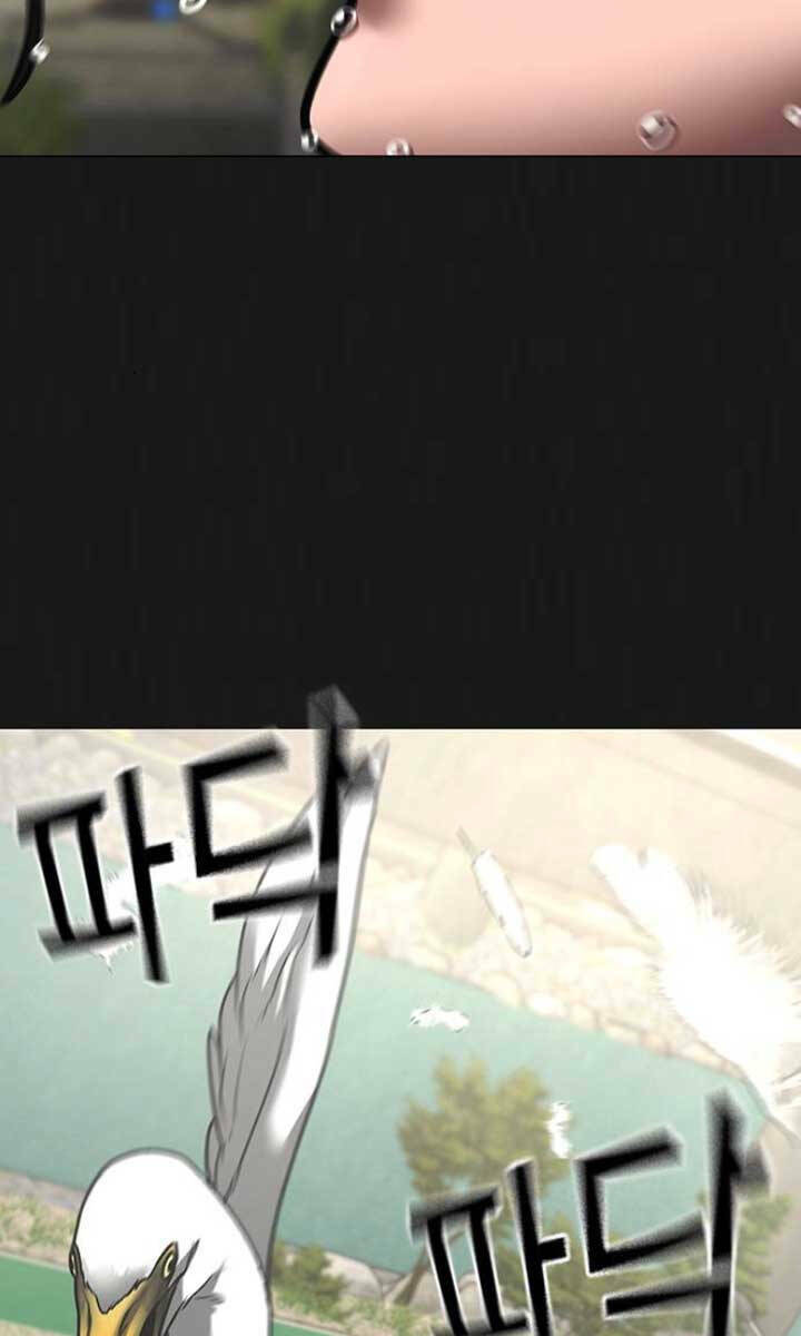 Chapter 103