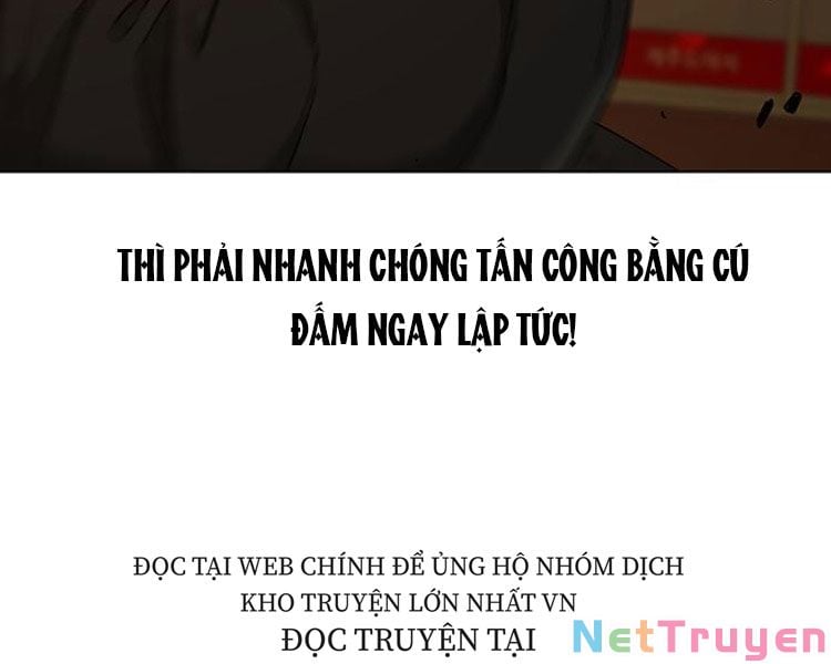 Chapter 13