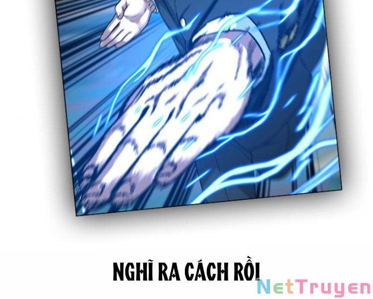 Chapter 13