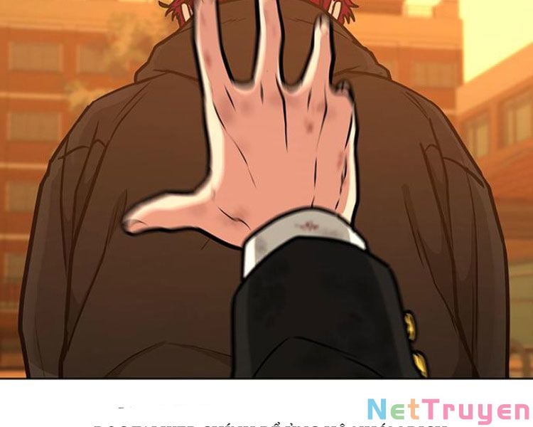 Chapter 13