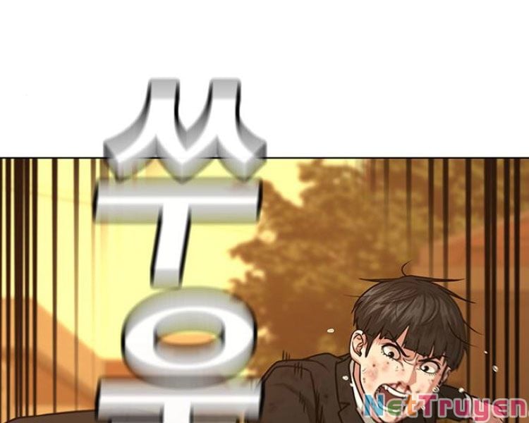 Chapter 13