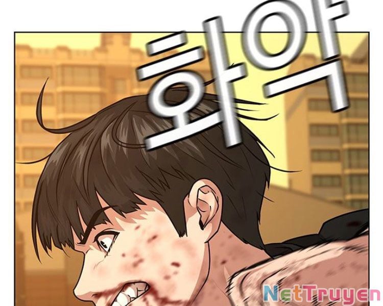 Chapter 13