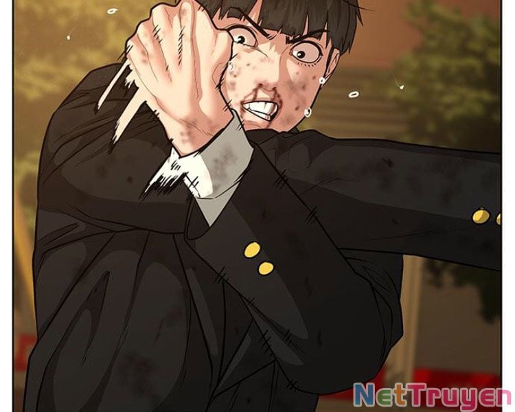 Chapter 13