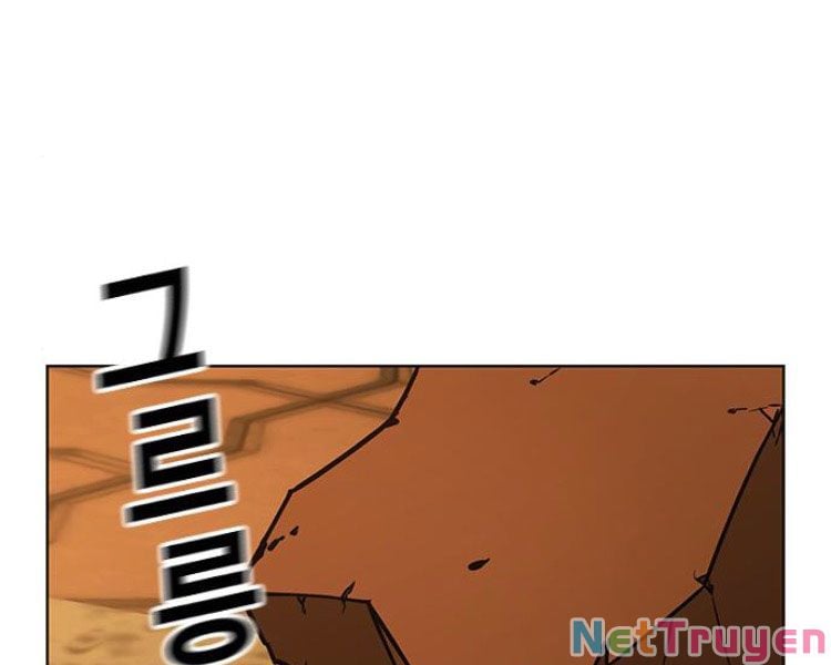 Chapter 13