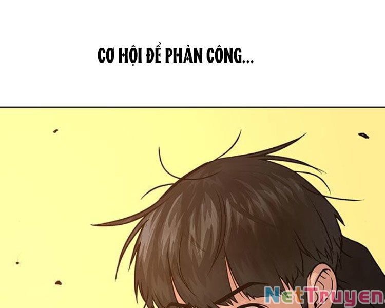 Chapter 13