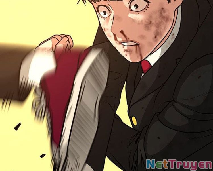 Chapter 13