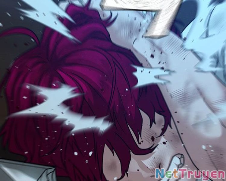 Chapter 13