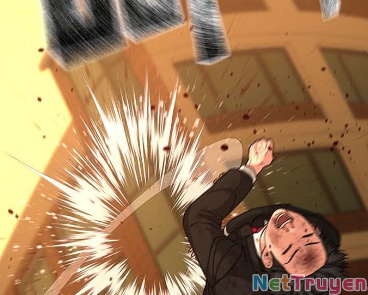 Chapter 13