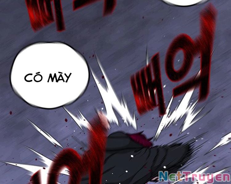 Chapter 13