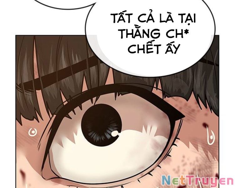 Chapter 13