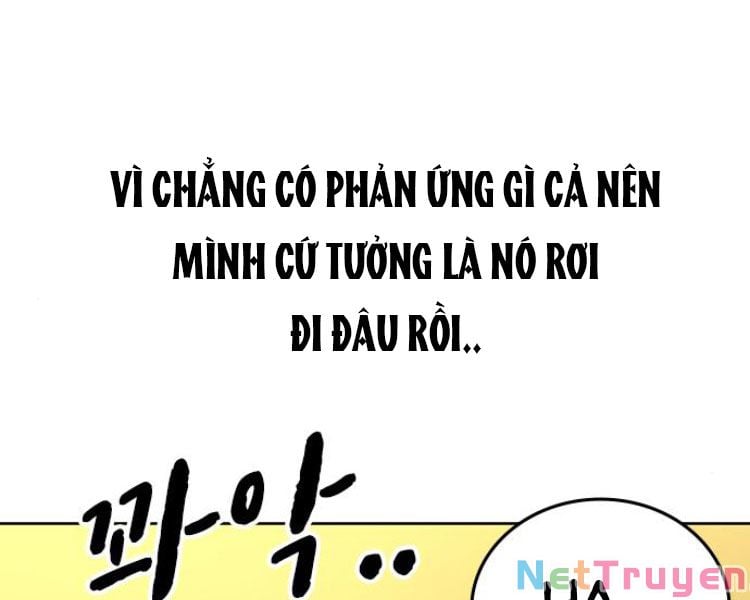 Chapter 13