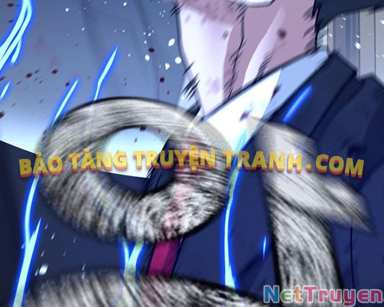 Chapter 13