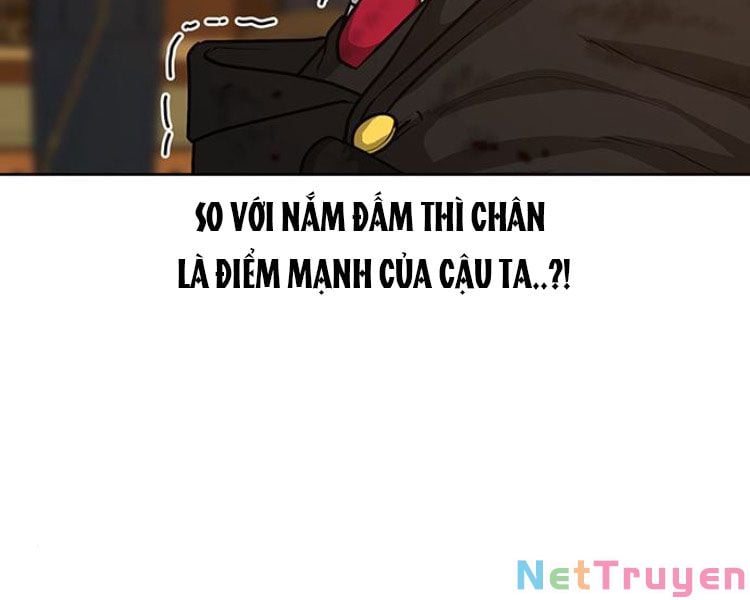 Chapter 13