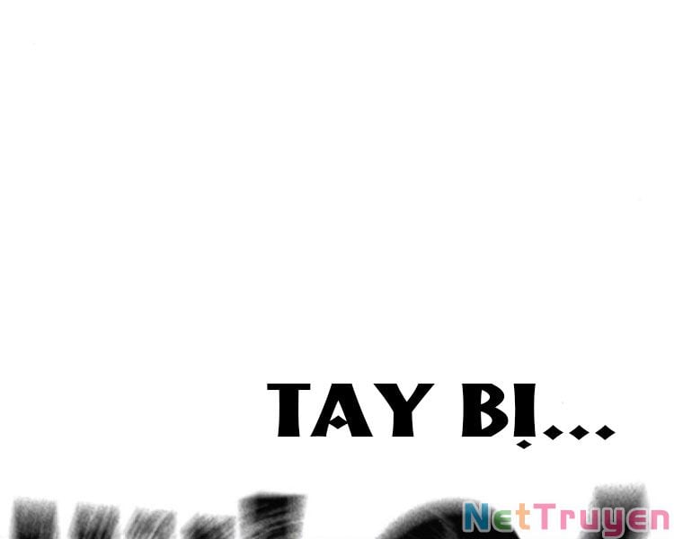 Chapter 13